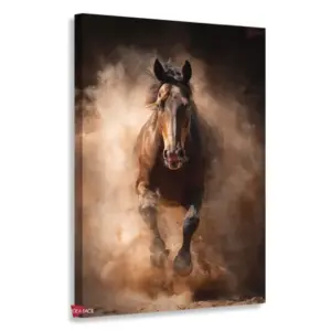 Caballo Rnm0018