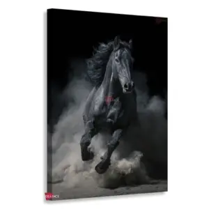 Caballo Rnm0019