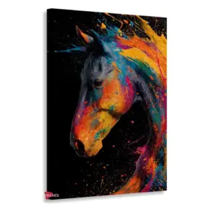 Caballo Rnm0020