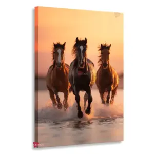 Caballo Rnm0023