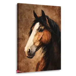 Caballo Rnm0024