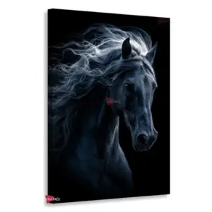 Caballo Rnm0025