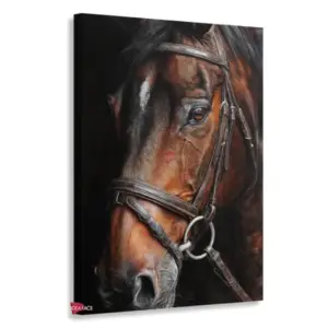 Caballo Rnm0027