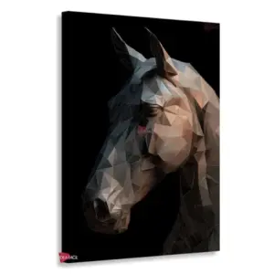 Caballo Rnm0028