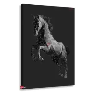 Caballo Rnm0029