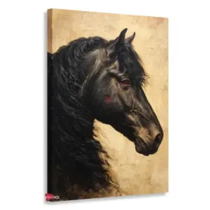 Caballo Rnm0030