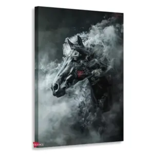 Caballo Rnm0032