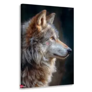 Lobo Rnm0135