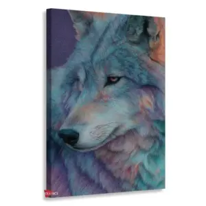 Lobo Rnm0136