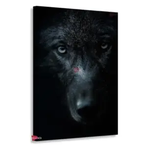 Lobo Rnm0138