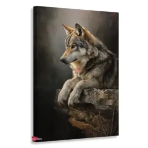 Lobo Rnm0140
