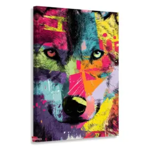 Lobo Rnm0144