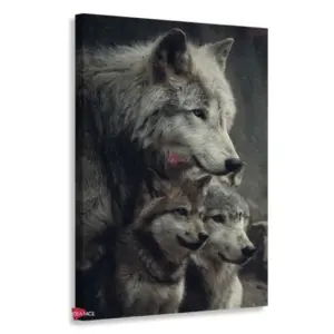 Lobo Rnm0145