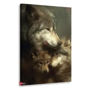 Lobo Rnm0146