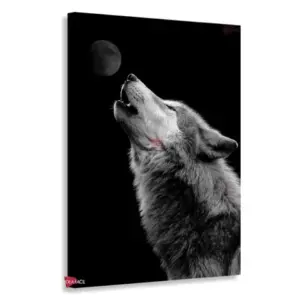 Lobo Rnm0147