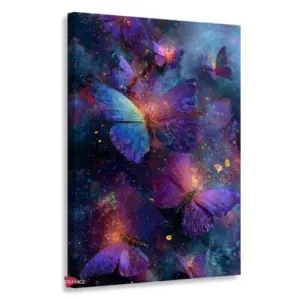 Mariposas Rnm0161