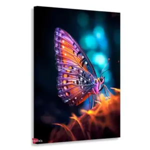Mariposas Rnm0165