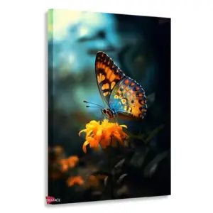 Mariposas Rnm0169