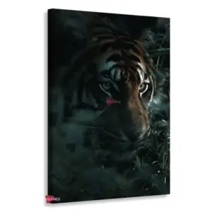 Tigre Rnm0177