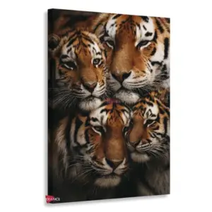 Tigre Rnm0184
