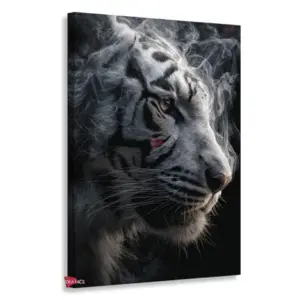 Tigre Rnm0187