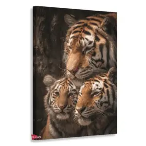 Tigre Rnm0188