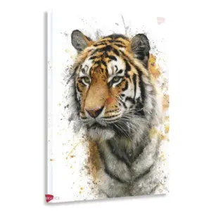 Tigre Rnm0189