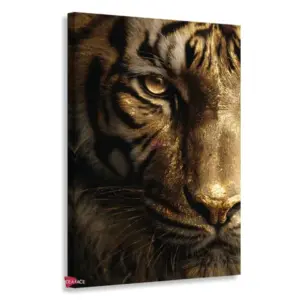 Tigre Rnm0190