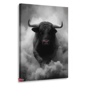 Toro Rnm0197