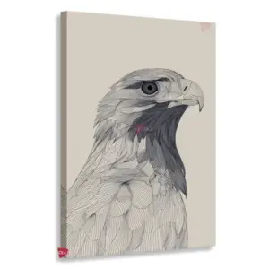 Águila Rnm0002