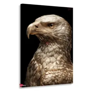 Águila Rnm0004