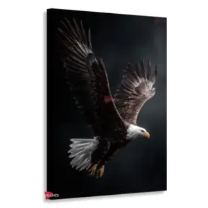 Águila Rnm0007