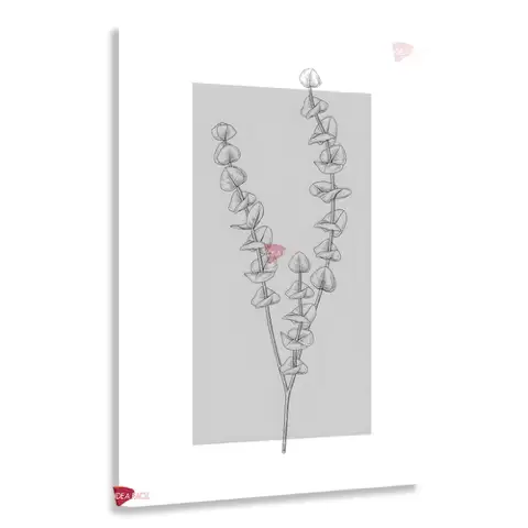 Dux Grong 615