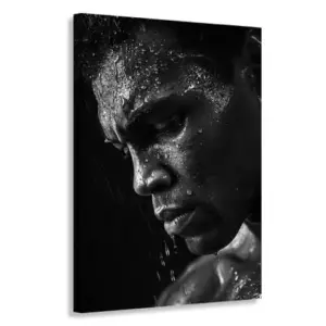 Ali 1