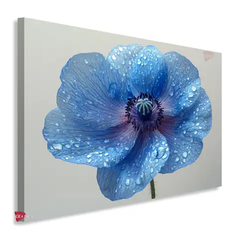 Flores Horizontal Flh131