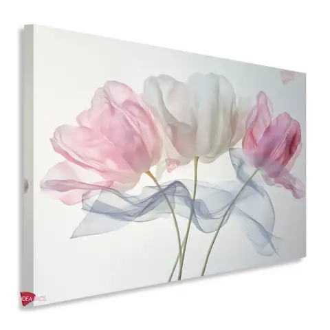 Flores Horizontal Flh207
