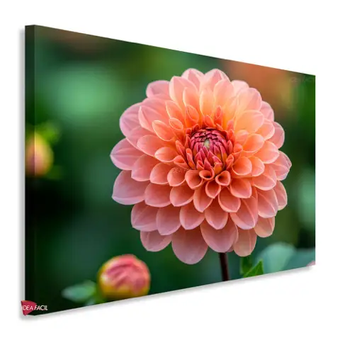Flores Horizontal Flh230