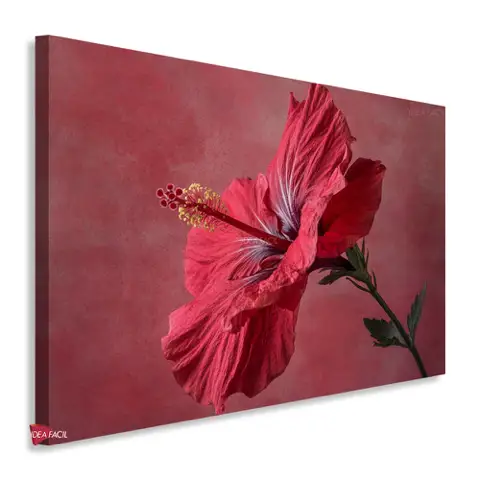Flores Horizontal Flh286