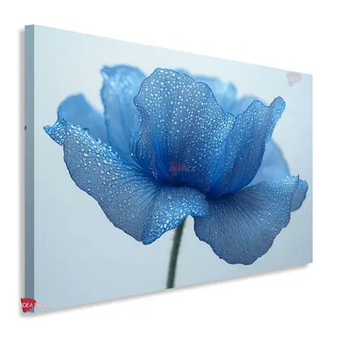 Flores Horizontal Flh290