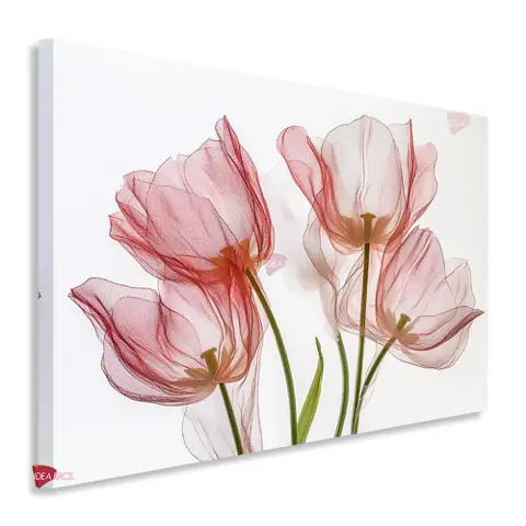 Flores Horizontal Flh305