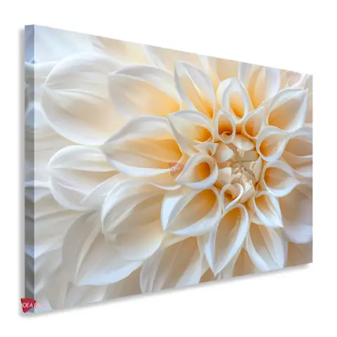 Flores Horizontal Flh323