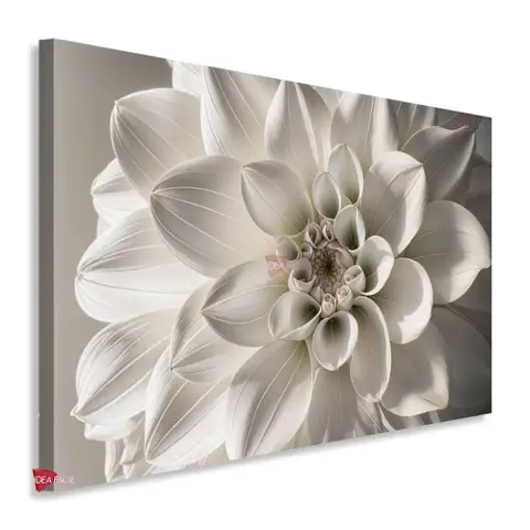 Flores Horizontal Flh334